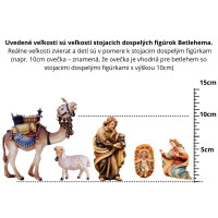 Camel Leader - Baroque