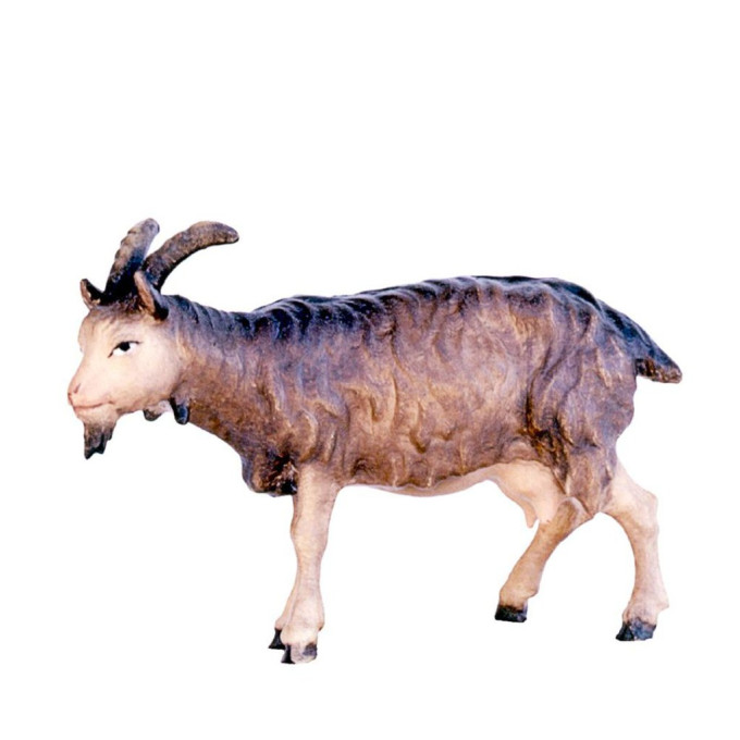 Goat for Bethlehem - Baroque