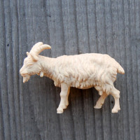 Goat for Bethlehem - Baroque