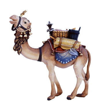 Camel with Luggage - Baroque