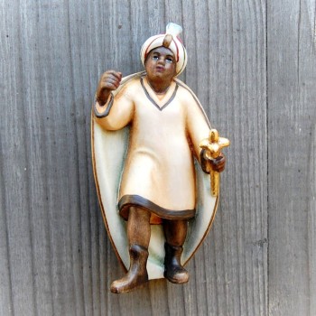 Camel Leader - African