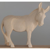 Stojaci Osol - Ranná hviezda