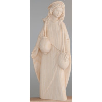 Nosička vody - Ranná hviezda