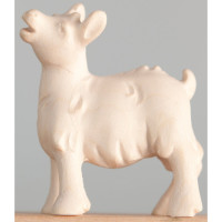 Kozliatko - Ranná hviezda