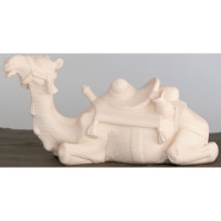 Oddychujúca ťava - Ranná hviezda