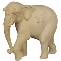 Slon - Ranná hviezda