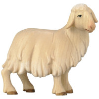 Stojaca ovečka - Ranná hviezda