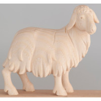 Stojaca ovečka - Ranná hviezda