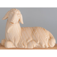 Oddychujúca ovečka - Ranná hviezda