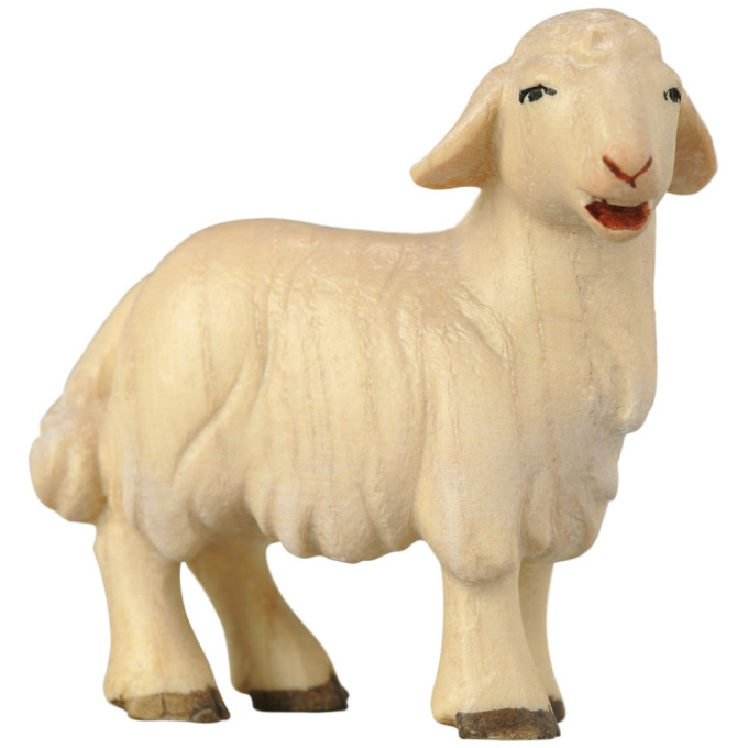 Stojace jahňa - Ranná hviezda