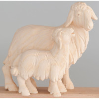 Ovca a jahňa - Ranná hviezda