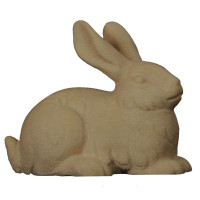 Zajac - Ranná hviezda