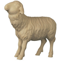 Sheep to the left of the Shepherd - Folk