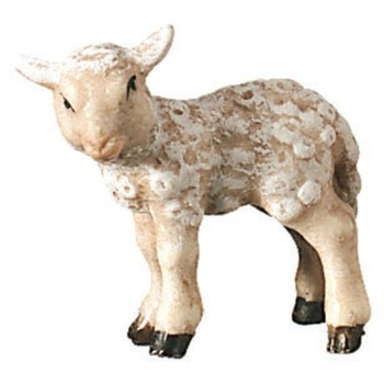 Lamb standing - Folk