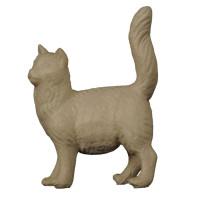 Cat standing - Folk