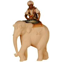 Elephant Driver (without Elephant) - Folk