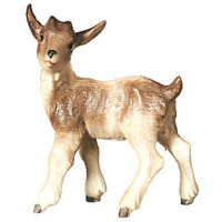 Fawn standing - Folk