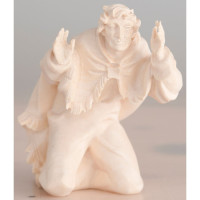 Pastier v údive Tirolský