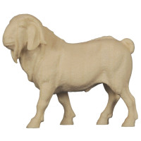 Borský cap - Tirolský