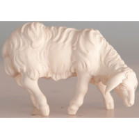 Pasúca sa ovečka - Tirolský