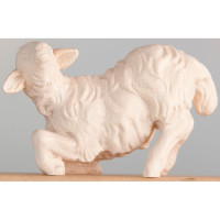 Kľačiace jahňa - Tirolský