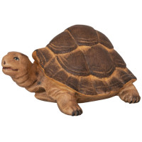  Tortoise