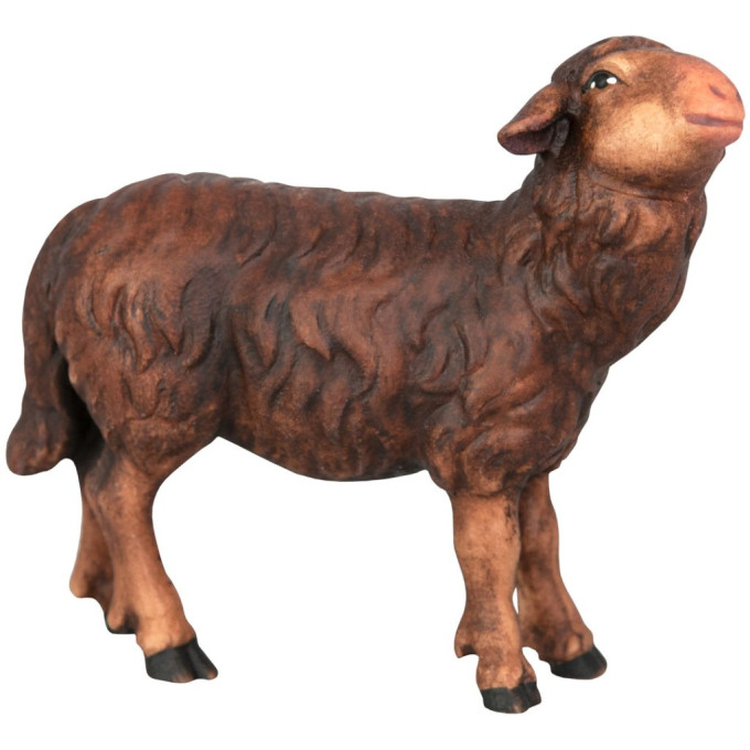 Čierna ovca stojaca - Ľudový