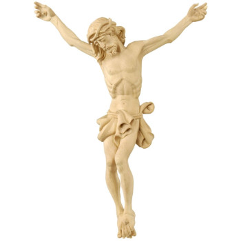 Lime Wood Baroque Corpus