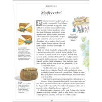 Ilustrovaná Biblia, Selina Hastingsová a Eric Thomas