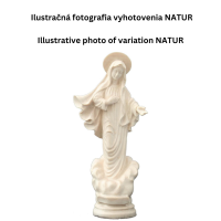 Panna Mária Medžugorská