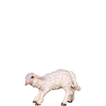 Malé jahniatko pre betlehem - farmarský