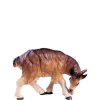 Koza oddychujúca pre betlehem - farmarský