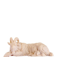 Koza ležiaca pre betlehem - farmarský