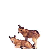 Kozliatka pre betlehem - farmarský