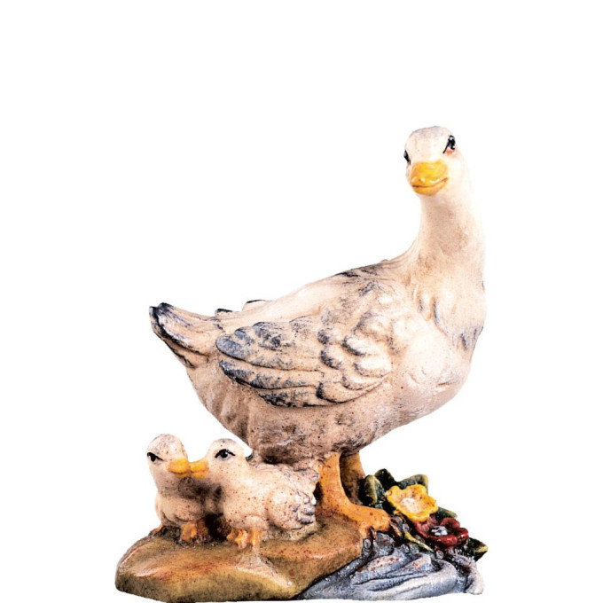 Hus s husiatkami pre betlehem - farmarský