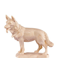 Ovčiarský pes pre betlehem - farmarský