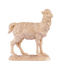 Lama pre betlehem - farmarský