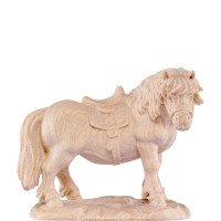 Poník pre betlehem - farmarský