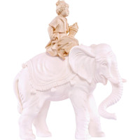 Vodič slonov - klasický