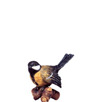 Vták na konári žltý - klasický