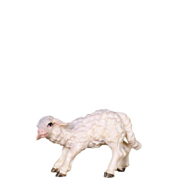 Malé jahňa - klasický