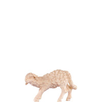 Malé jahňa - klasický