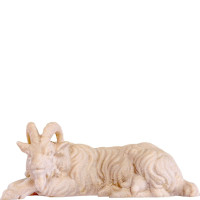 Ležiaca koza - klasický