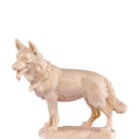 Ovčiarský pes - klasický