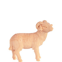 Baran - farmársky z borovice