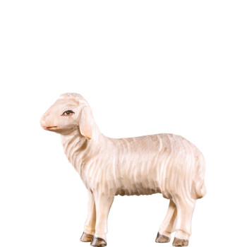 Ovca - farmársky z borovice