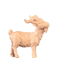 Cap - farmársky z borovice