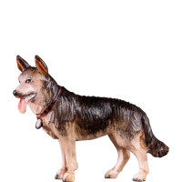 Ovčiarský pes - farmársky z borovice