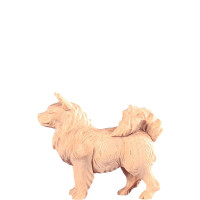 Špic pes - farmársky z borovice