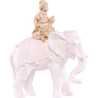 Elephant driver - dolomite